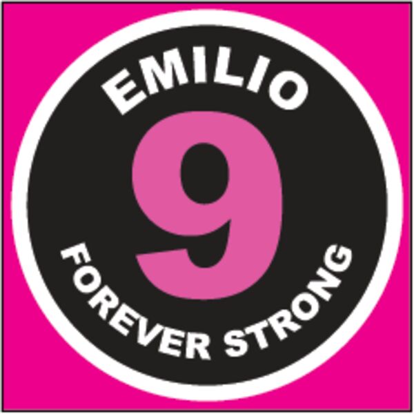 Bedford Park District Emilio Strong Patch  Thumbnail